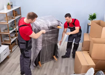 Professional Moving & Packing Services